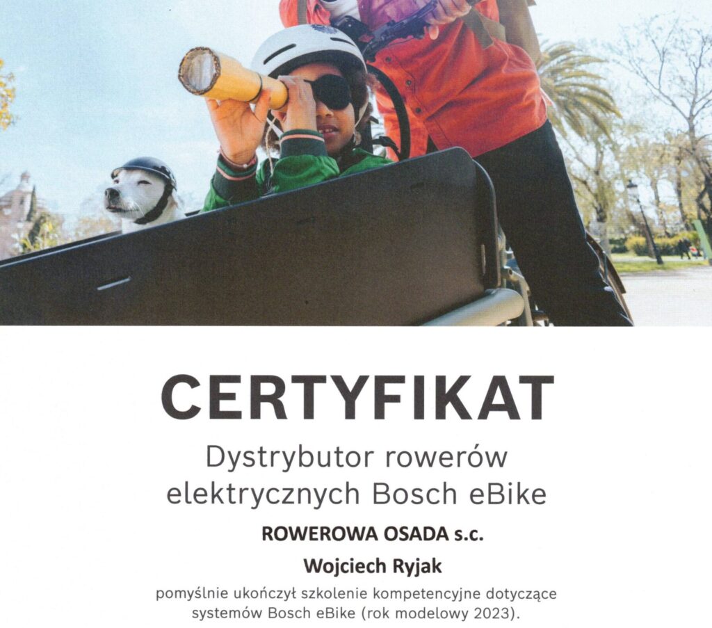 Certyfikat Bosch Smart System